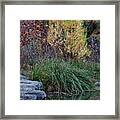 Fall Foliage Reflections At Lost Maples Framed Print