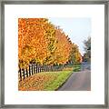 Fall In Horse Farm Country Framed Print