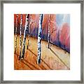 Fall In The Birches Framed Print
