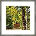 Fall In The Forest Framed Print