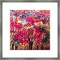 Fall In The Forest Framed Print