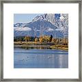 Fall Inteton -3 Framed Print