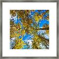 Fall Is In The Air Framed Print