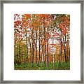 Fall Landscape Portrait Framed Print