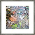 Fall Leaves In A Frozen Puddle Framed Print
