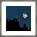 Fall Moon Over The Tree Tops Framed Print