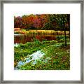 Fall  Pond Framed Print