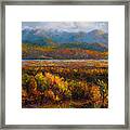 Fall Framed Print