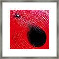 Falling In To Passion Framed Print
