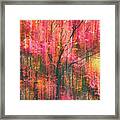 Falling Into Autumn Framed Print