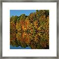 Falling Into The Reflection Framed Print