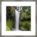 Falls Creek Falls In Washington Framed Print