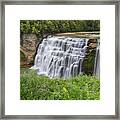 Autumn Flower Of Letchworth Middle Falls Framed Print