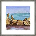 Falmouth Mass Framed Print