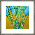Fan Palm With Yellow Framed Print