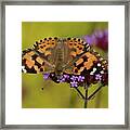 Fanned Out Framed Print
