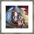 Fearless Indian War Horse Framed Print