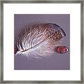 Feather And Sea Glass 3 Framed Print