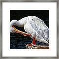 Feather Check Framed Print