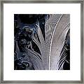 Feather Framed Print
