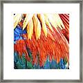 Feather Paint Framed Print