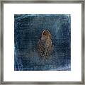 Feather With Meaning Framed Print