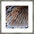 Feathers Cascade Framed Print