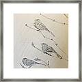 Feathers Friends Framed Print
