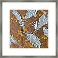 Fall Feathers Framed Print
