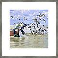 Feeding Frenzy Framed Print