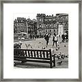Feeding The Birds At George Square In Greyscale Framed Print