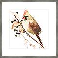 Female Cardinal Bird Framed Print
