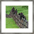 Fence Full Framed Print