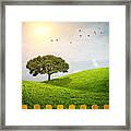 Fenced Grass Hills Ii Framed Print