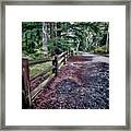 Fences In The Wilderness Framed Print
