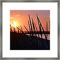 Ferry Beach Framed Print