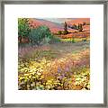 Field Of Dreams Framed Print