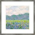 Field Of Yellow Irises At Giverny Framed Print