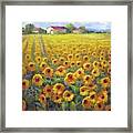 Fields Of Italy Framed Print