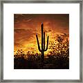 Fiery Desert Skies Framed Print