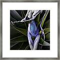 Figures_t14-3 Framed Print