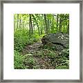 Find Your Path Framed Print