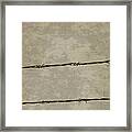 Fine Art Photograph Barbed Wire Over Vintage News Print Breaking Out Framed Print