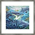Fins And Flippers Framed Print