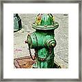 Fire Hydrant Framed Print