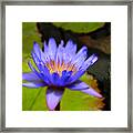 Fire Within Framed Print