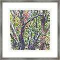 First Fall Colors In The Forest Framed Print