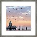 First Flight At First Light Framed Print