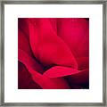 First Kiss Of Spring Framed Print