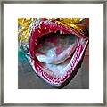 Fish Mouth Framed Print